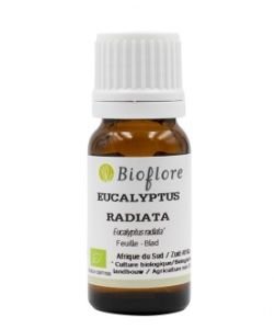 Eucalyptus radié (Eucalyptus radiata) BIO, 30 ml